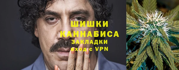 прущие грибы Алзамай
