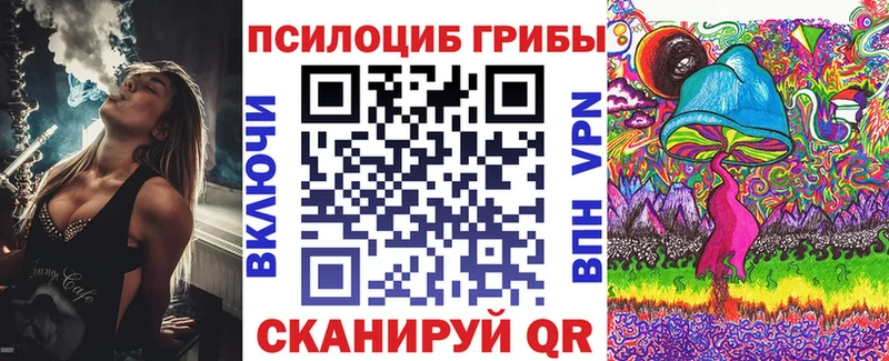 дарнет шоп  Топки  Псилоцибиновые грибы MAGIC MUSHROOMS 